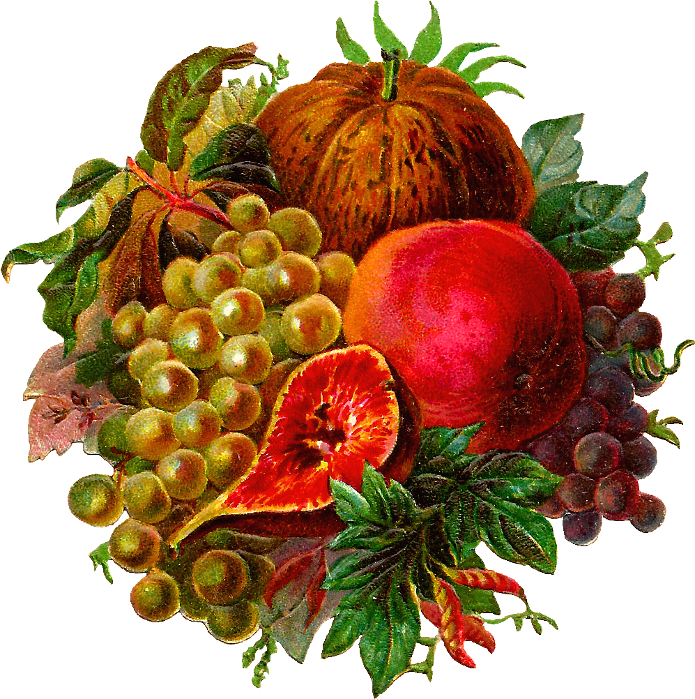 Here'a Another Spectacular Digital Fruit Graphic I - Clip Art (1180x1170), Png Download