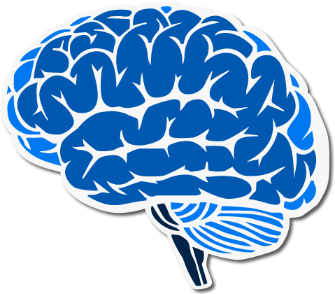 Brain - Brain Clipart Blue (735x434), Png Download
