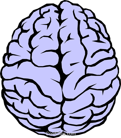 Royalty Free Download Human At Getdrawings Com Free - Cerebro Vetor Png (421x480), Png Download
