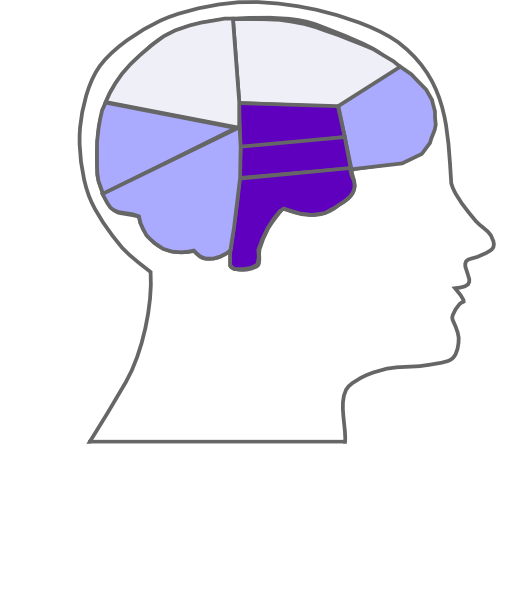 Head And Brain Outline Svg Clip Arts 516 X 597 Px (516x597), Png Download