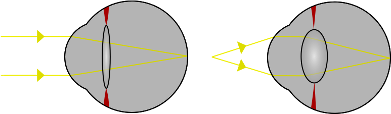 Focus In An Eye - Eye Lens Accommodation (800x270), Png Download