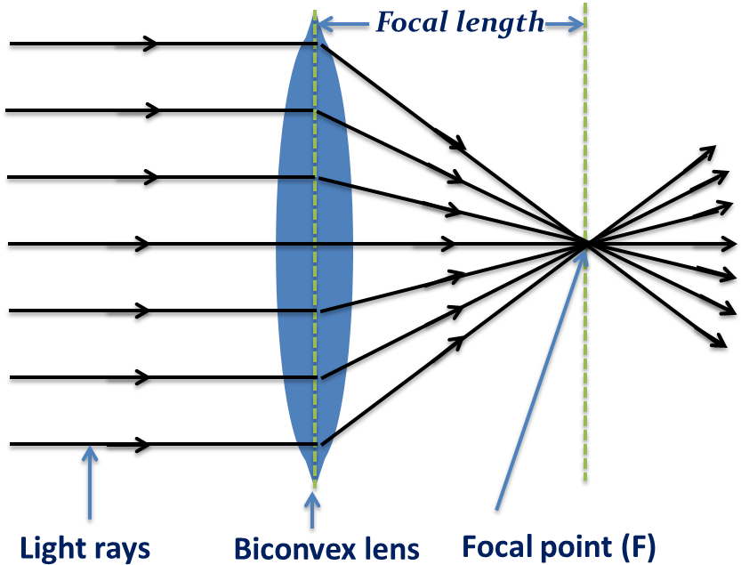 Biconvex Len- Converging Light Rays - Biconvex (856x668), Png Download