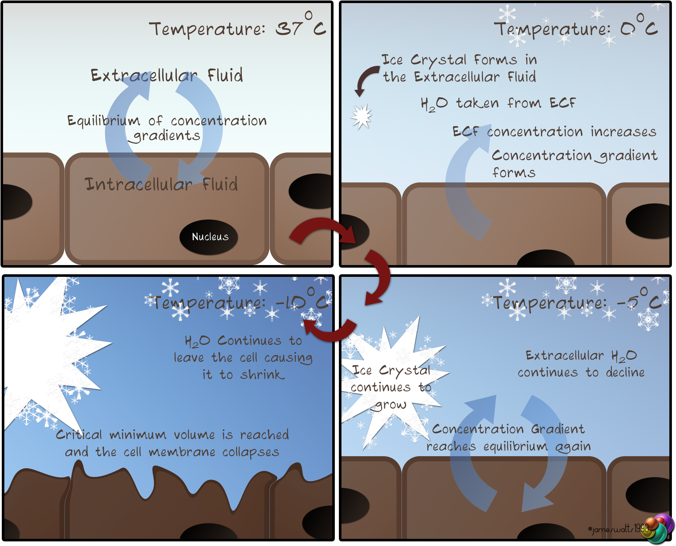Osmotic Shock - Osmotic Shock Cell Disruption (2652x2154), Png Download