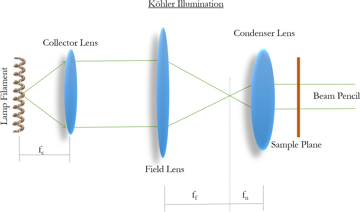 Köhler Illumination-light From A Single Point On The - Kohler Illumination Spot Size (1429x837), Png Download