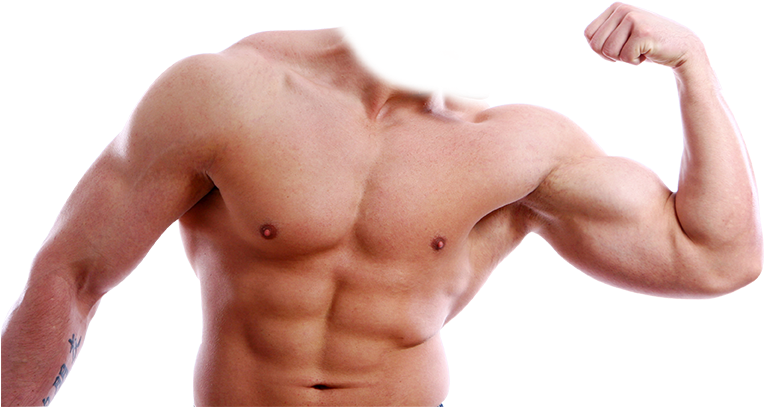 Clip Art Freeuse Body Builder Photo Suit App Ranking - Body Builder Transparent Background (800x480), Png Download