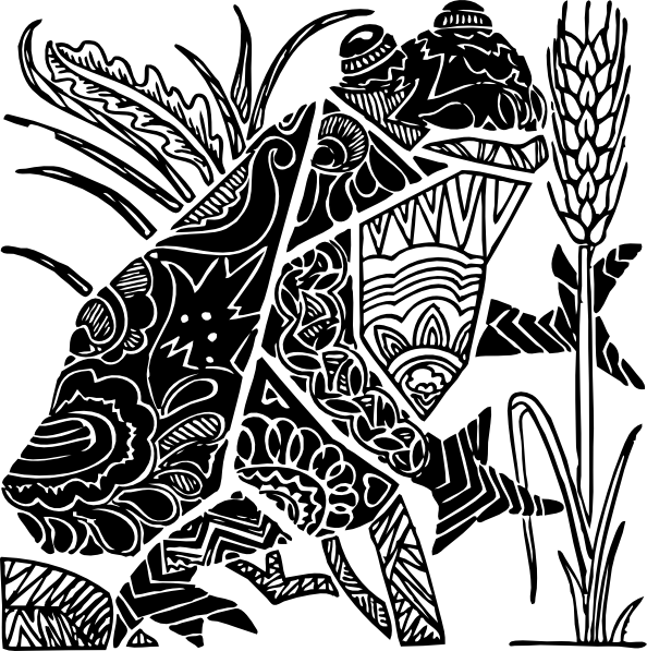 Ornate Frog Svg Clip Arts 594 X 597 Px (594x597), Png Download