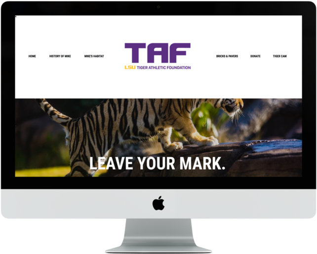 Magnolia Ink (1000x666), Png Download