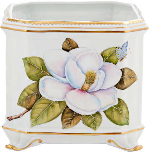 More Views - Magnolia (700x700), Png Download