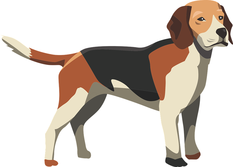Dog Graphics Svg Freeuse Stock - Dog Graphic (960x689), Png Download