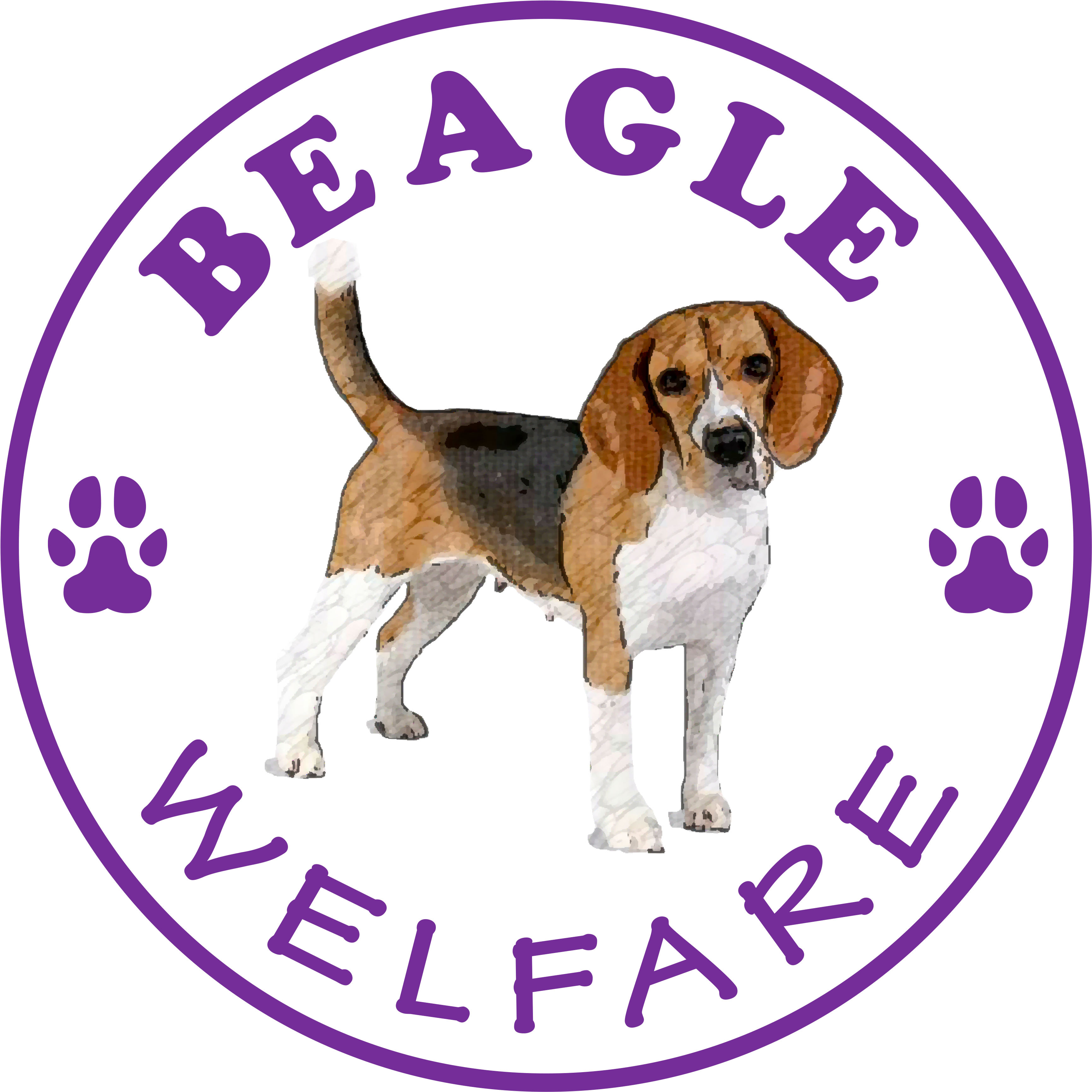 Beagle Welfare - Red Cotton T-shirt (3544x3544), Png Download