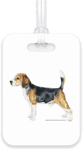 Beagle Luggage Tag - Dog Breeds Az (600x600), Png Download