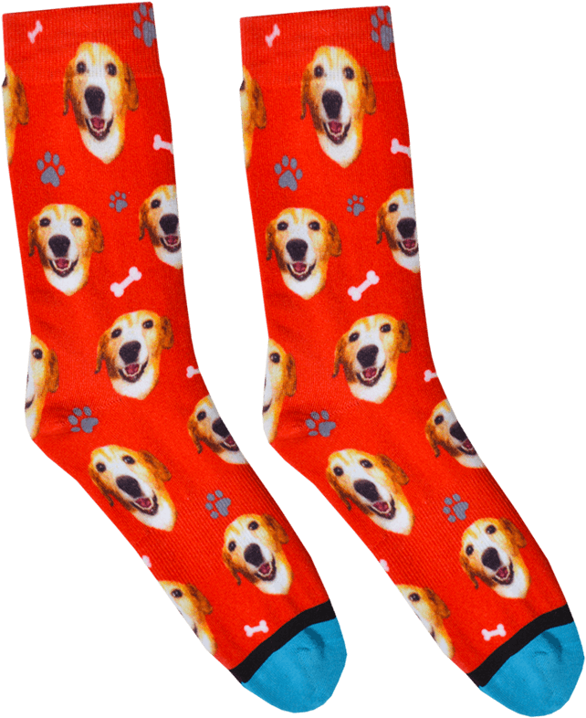 Custom Dog Socks (800x800), Png Download
