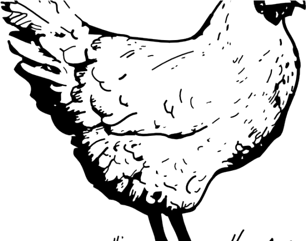 Drawn Chick Egg Png (640x480), Png Download