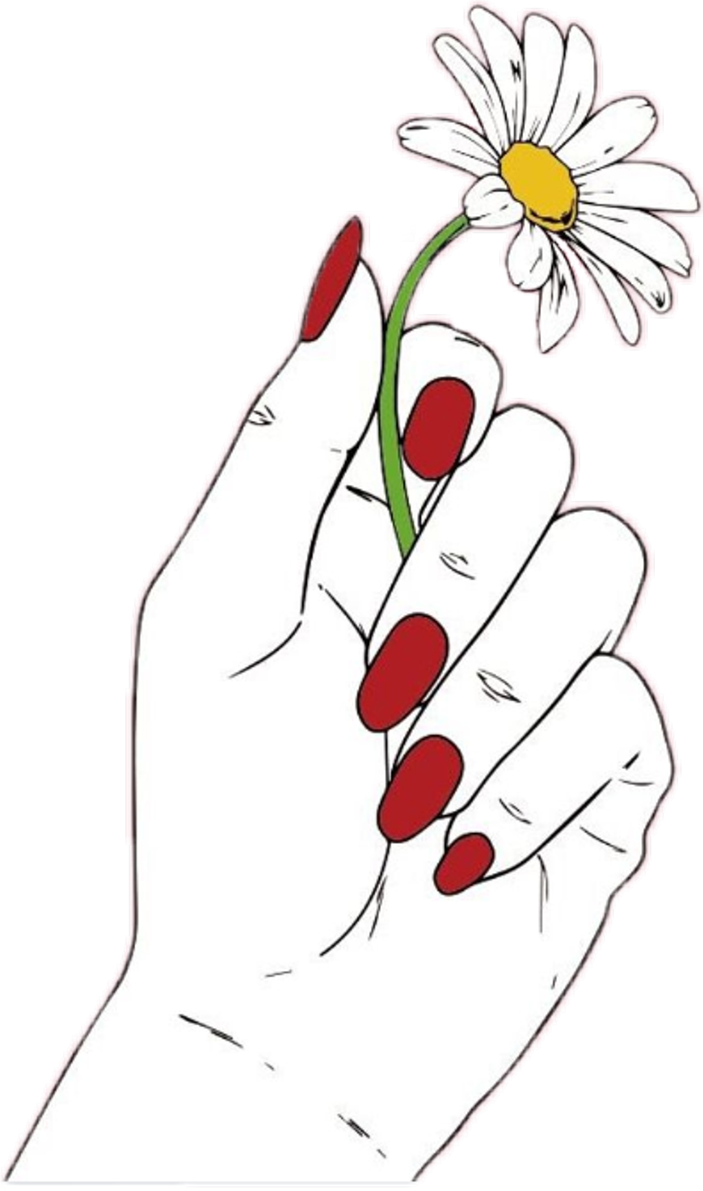 #daisy #flower #red #hand #nails #white #draw #tumblr - Drawing Of Hands Holding Flowers (1024x1734), Png Download