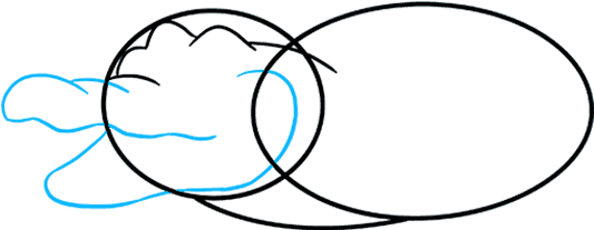 How To Draw Alligator - Alligator Drawing (680x678), Png Download