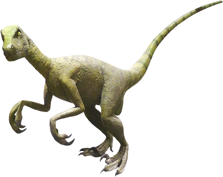 Allosaurus Clipart - Tyrannosaurus (827x717), Png Download