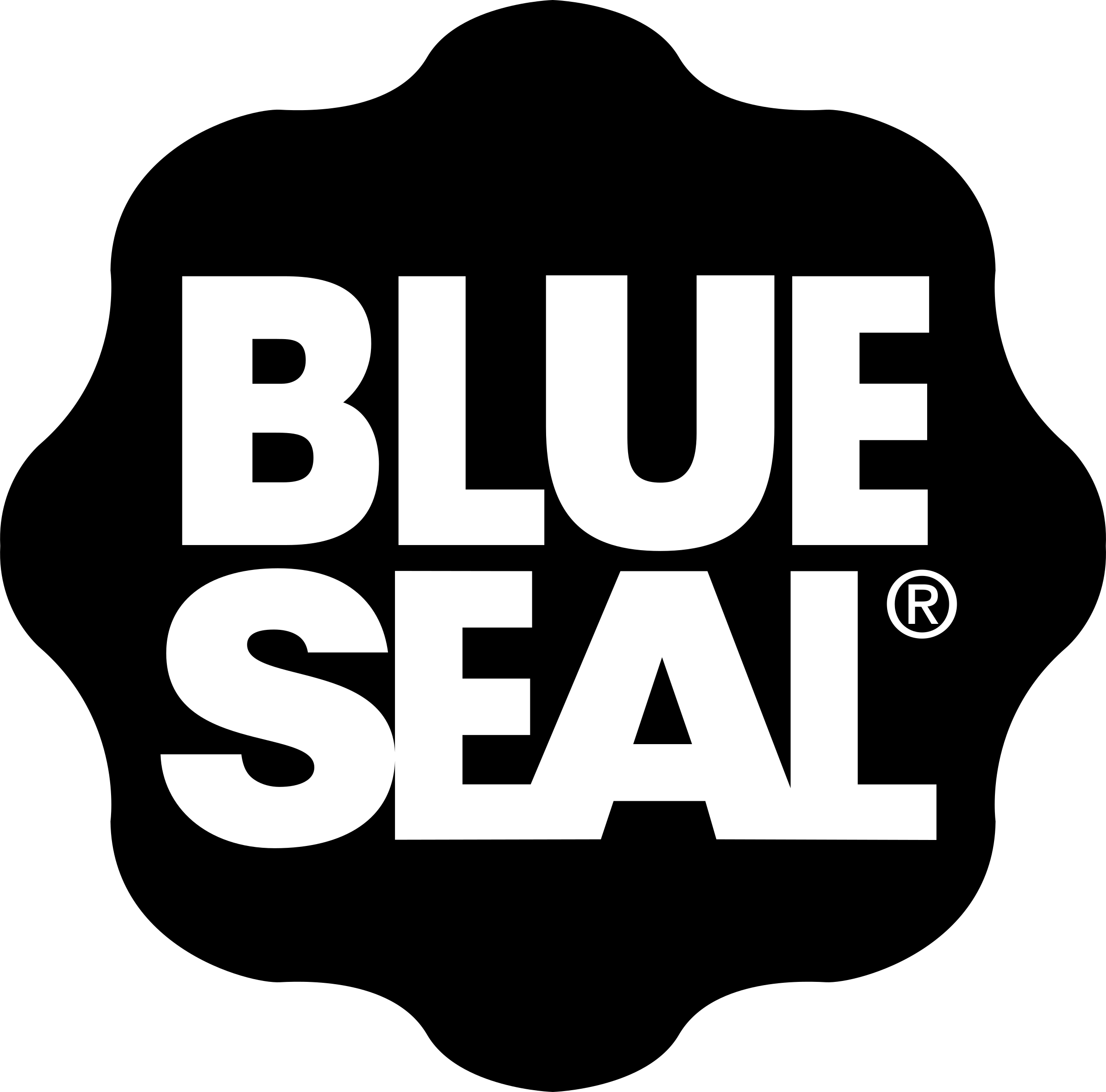 Blue Seal Logo Png - Illustration (2400x2370), Png Download
