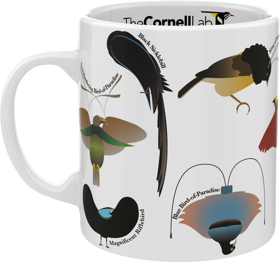 Birds Of Paradise Mug - Coffee Cup (1000x938), Png Download
