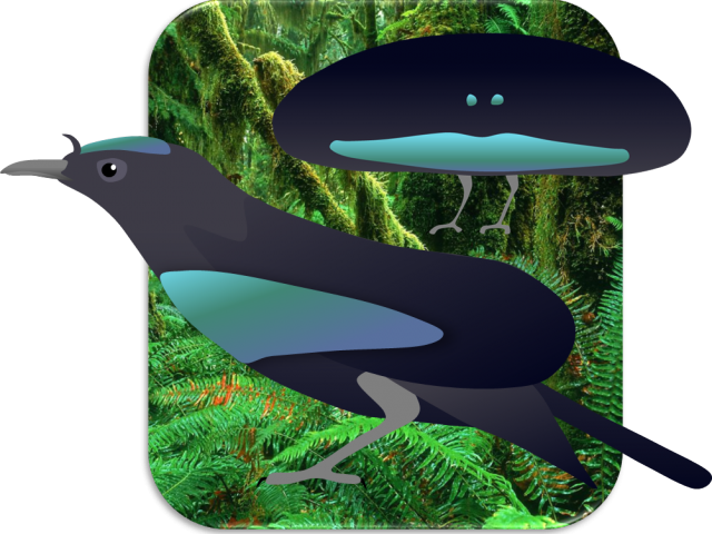 Bird Of Paradise Clipart Superb - Illustration (640x480), Png Download