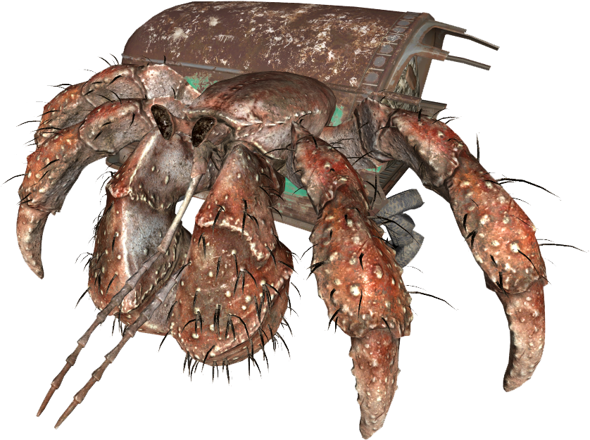 Hermit Crab - Fallout 4 Hermit Crab (903x732), Png Download