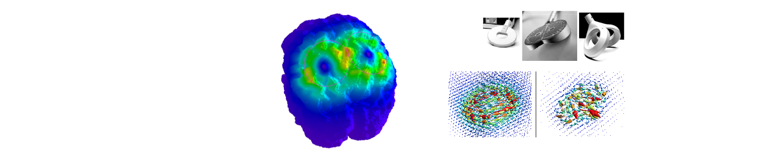 Tms- Coils And Simulated Magnetic Field - Circle (1536x320), Png Download