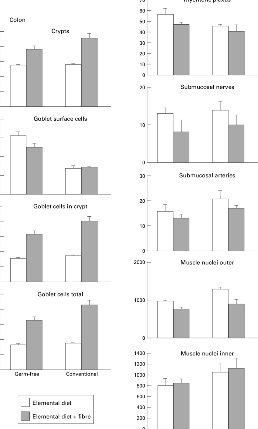 Evects Of The Various Treatments On The Morphometry - Monochrome (850x1412), Png Download