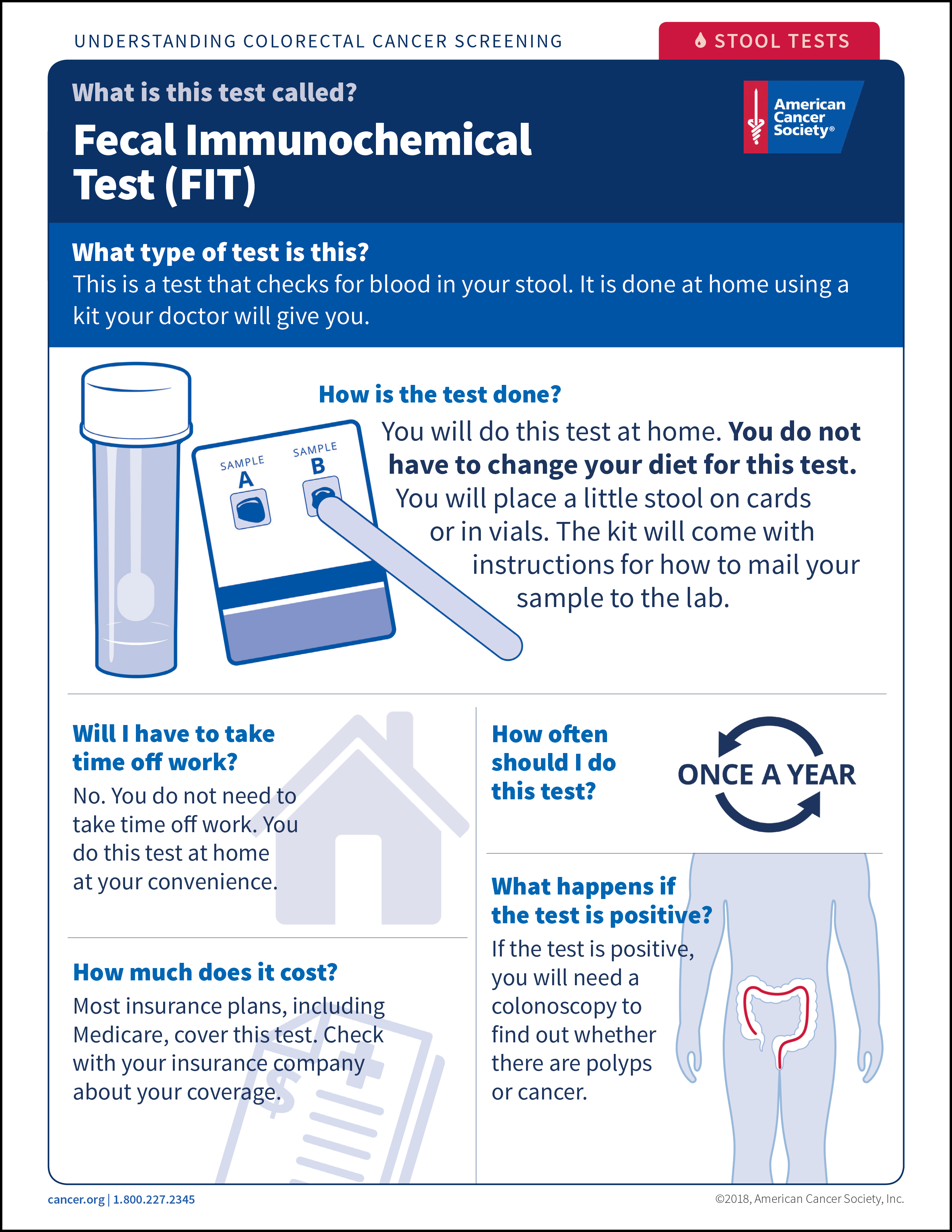 How Often Do I Need To Be Screened - Web Page (2550x3300), Png Download