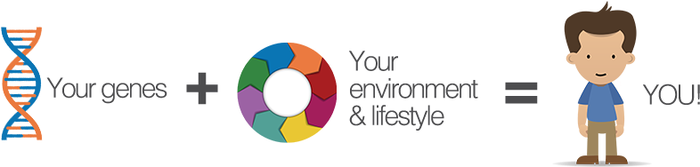 Genetic Factors Also Affect Our Sensitivity To Positive - Gene Environment Interaction (945x354), Png Download