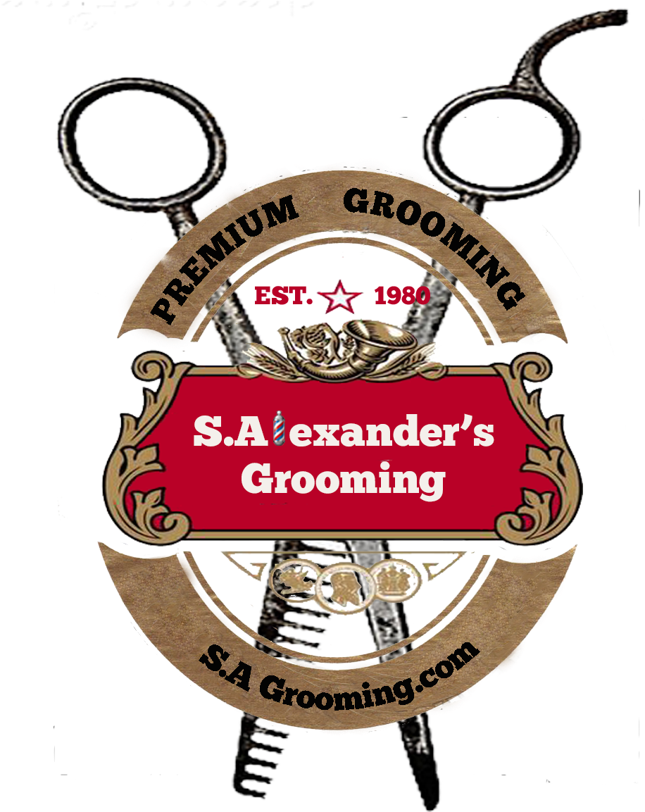 Sa Grooming - Stella Artois (1152x1152), Png Download