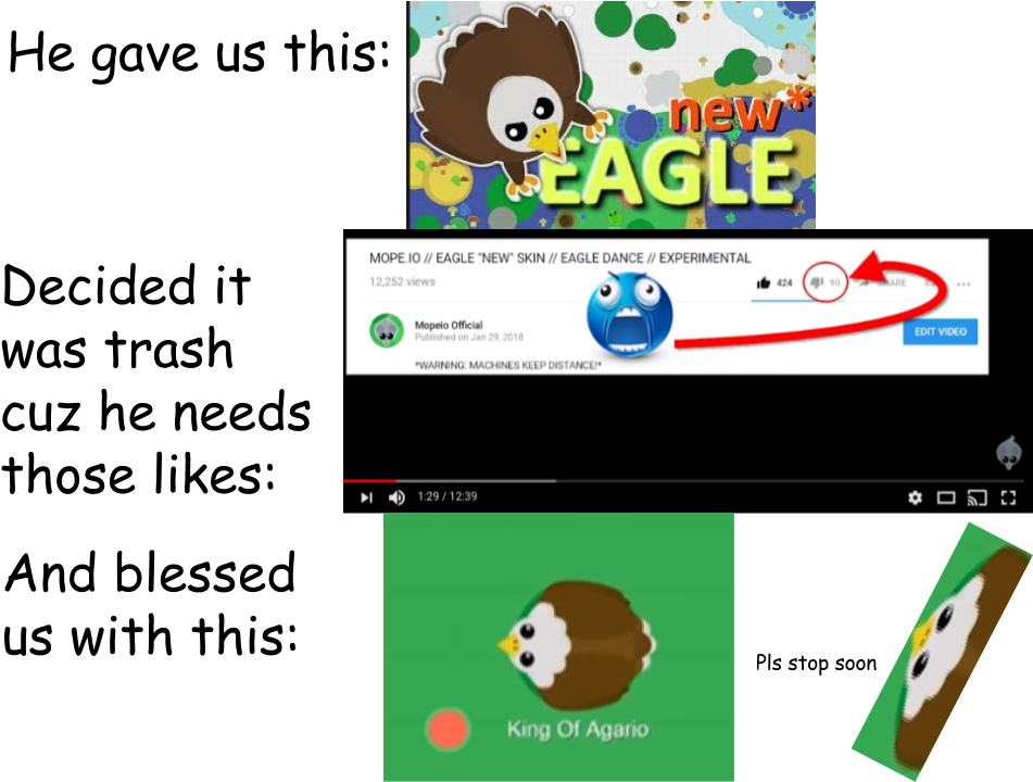 Jokeattempting To Connect Koa's Logic Behind Eagle (960x720), Png Download