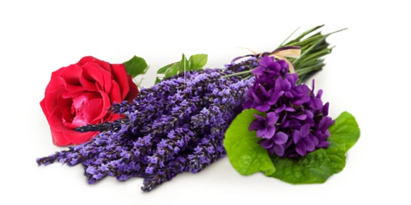 Flower Smell Png (800x400), Png Download