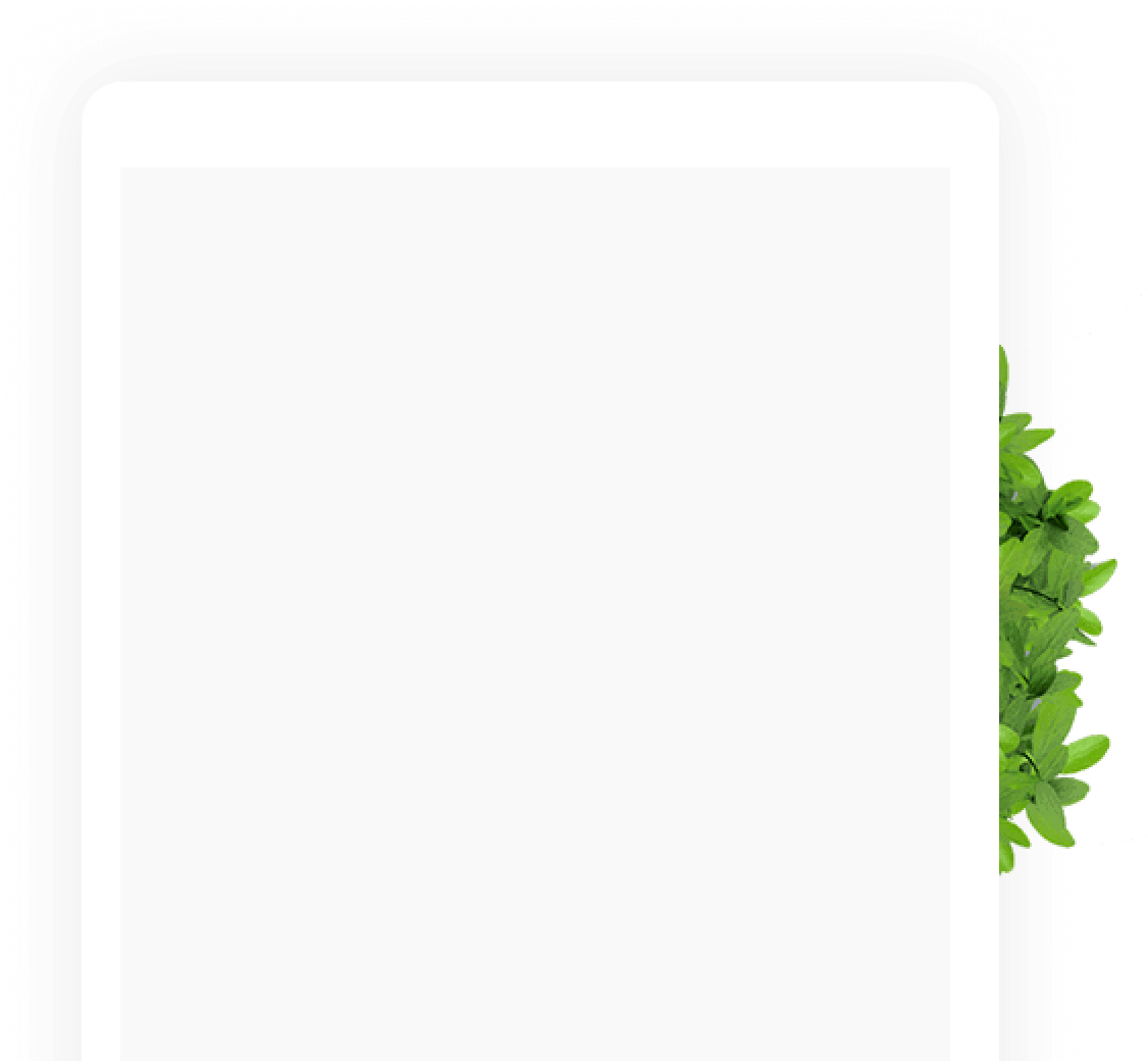 Relevant Content, Neat Design, And A Law-compliant - Fern (1126x1040), Png Download