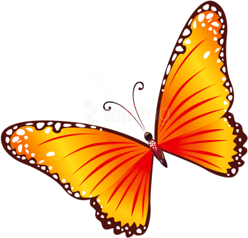 Free Png Download Transparent Orange Butterfly Clipart - Yellow And Red Butterfly (850x835), Png Download