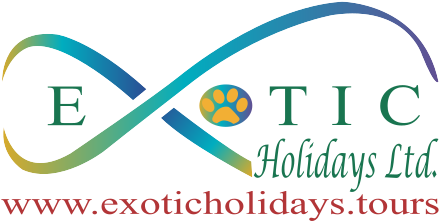 Exotic Holidays Ltd (865x454), Png Download