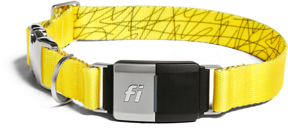 Full Device Yellow@2x - Strap (1000x554), Png Download