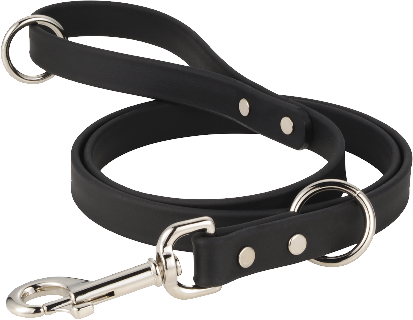 Leash Png - Collar And Leash Png (825x639), Png Download