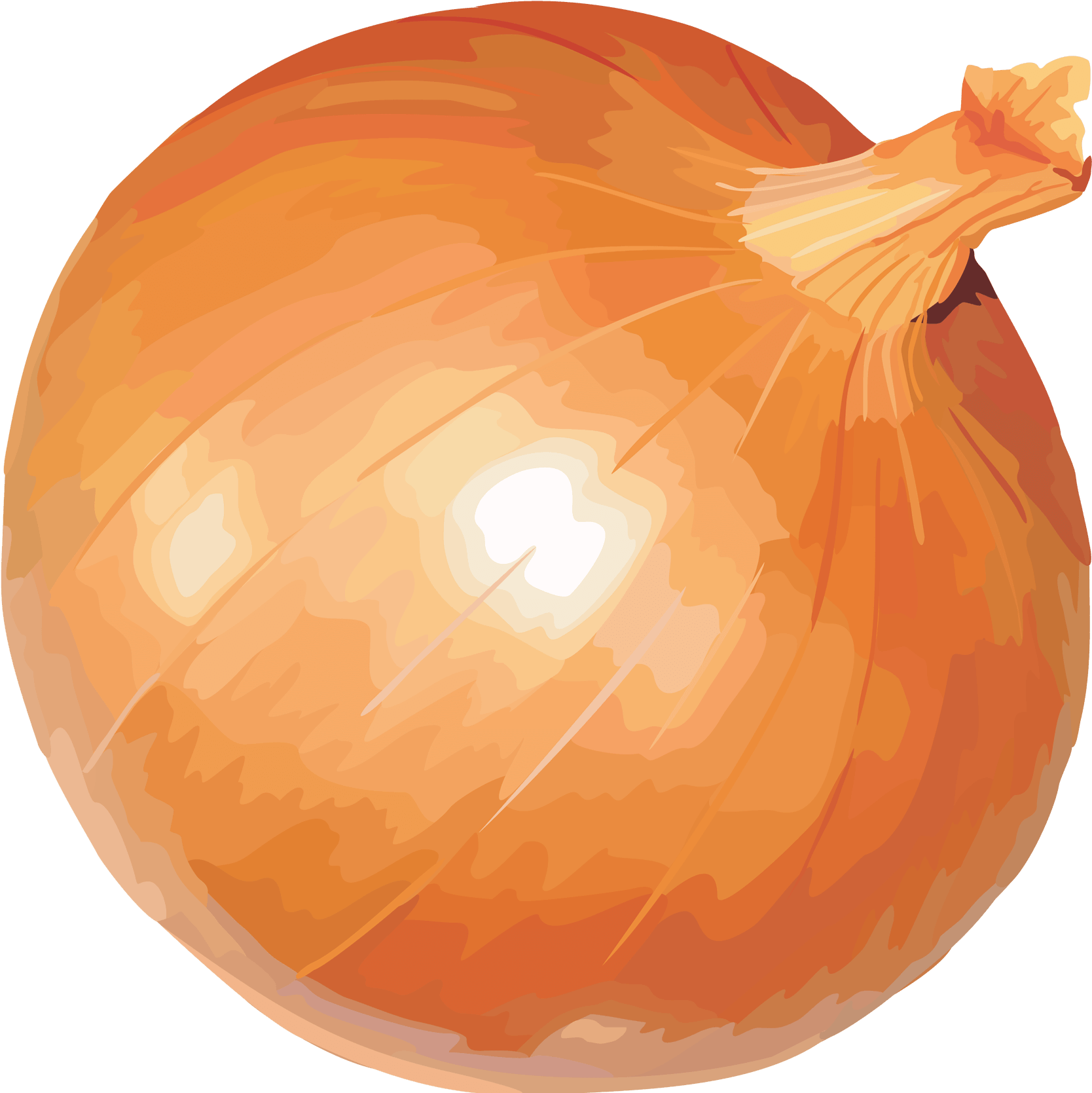 Golden Onion (1695x1694), Png Download