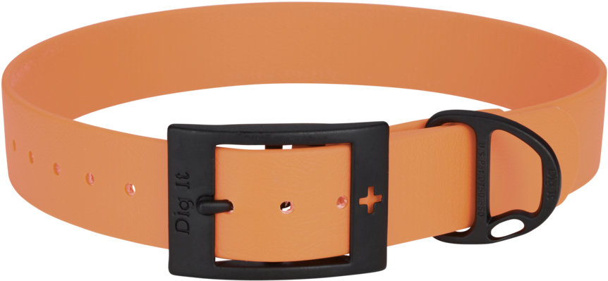 Belt (1000x668), Png Download