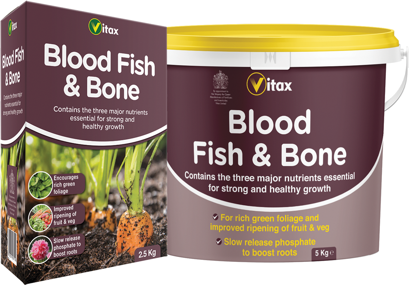 More Views - Blood Fish And Bone (1402x1000), Png Download