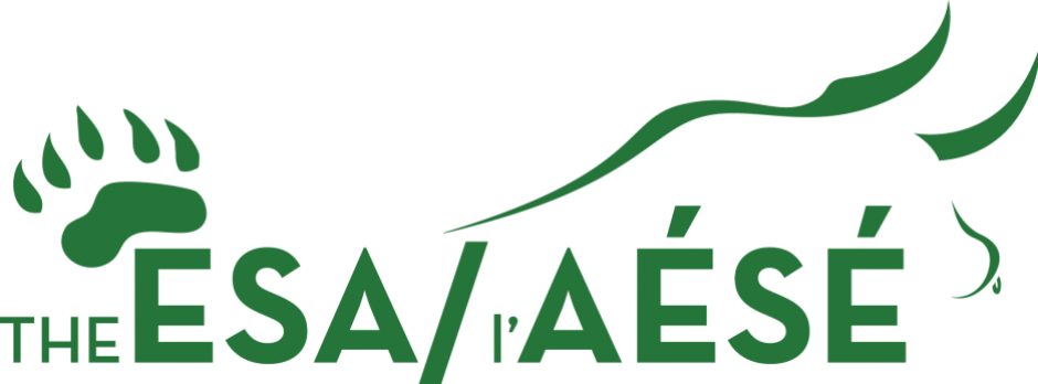 Cropped Cropped Esa Bb Logo 2 (940x348), Png Download