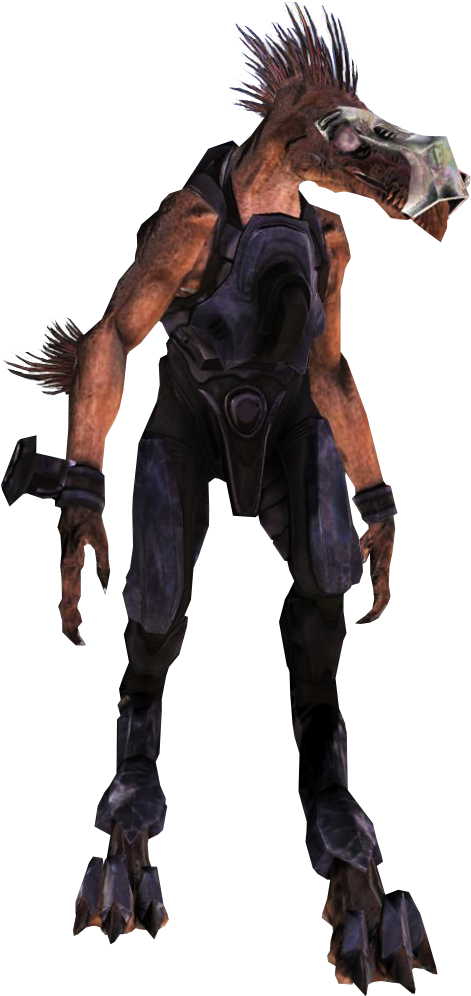 Jackalsniper " - Stallion (684x1060), Png Download