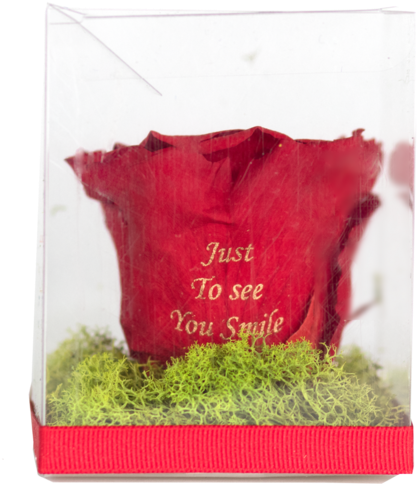Greeting Card (523x600), Png Download