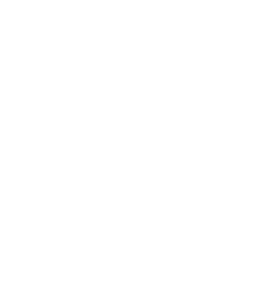 Wren1 (540x601), Png Download