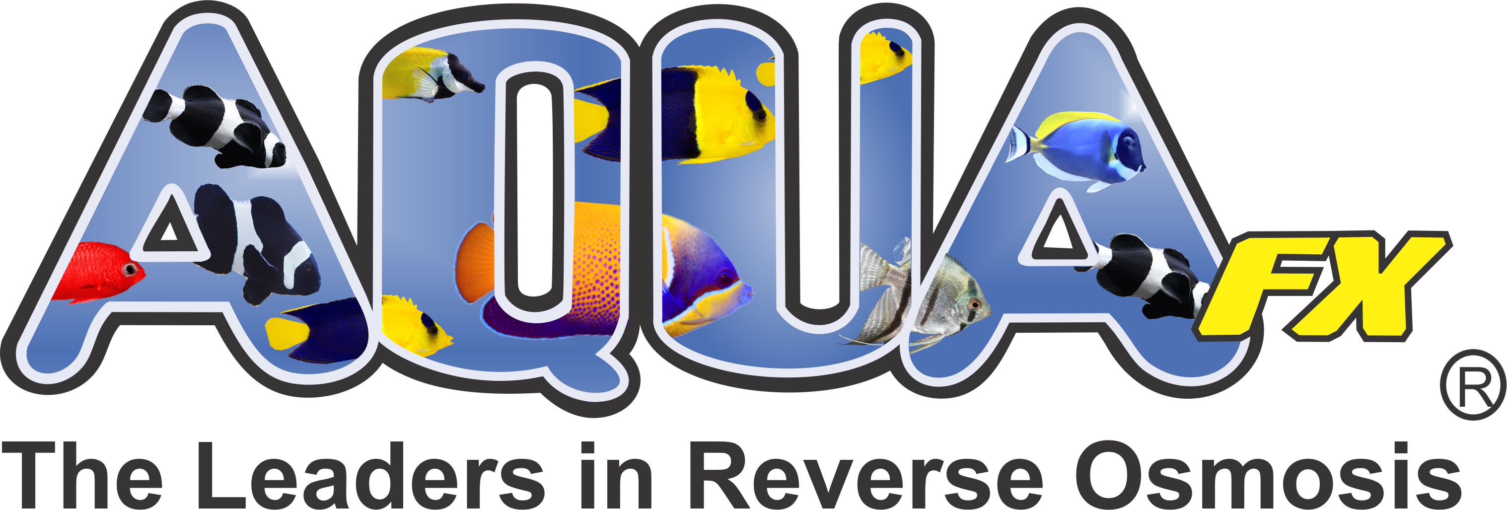 Social - Graphic Design (3035x1027), Png Download