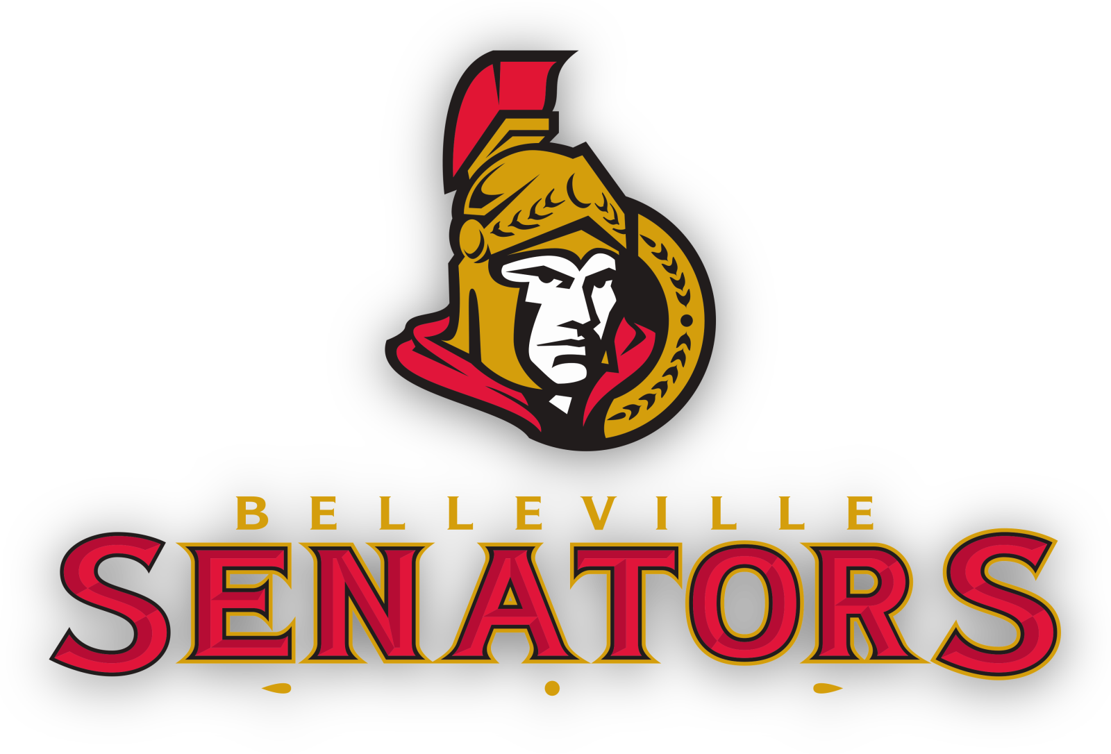 The Ottawa Senators Announced Today They're Moving - Ottawa Senators (1600x1086), Png Download