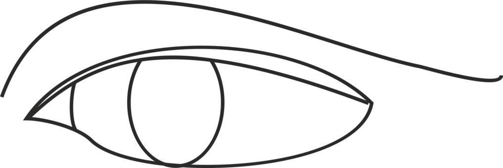 Download Similars - Line Drawing Of An Eye (1017x340), Png Download