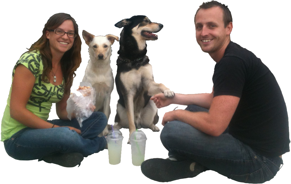 Instant Price Quote - Companion Dog (972x614), Png Download