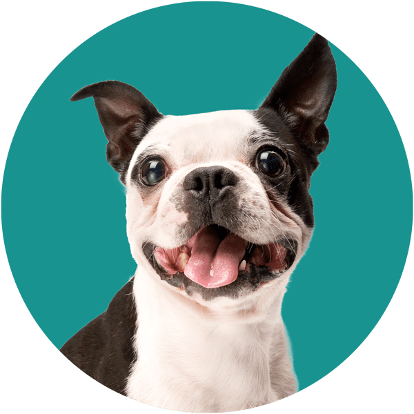 Gilian Avatar - Ear Mite (600x600), Png Download