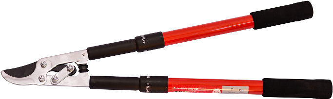 Home > Arborist Supplies > Corona Compound Action Lopper - Ski (1000x667), Png Download