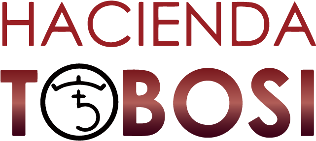 Costa Rica Hacienda Tobosi Caturra Black Honey - Graphic Design (800x640), Png Download